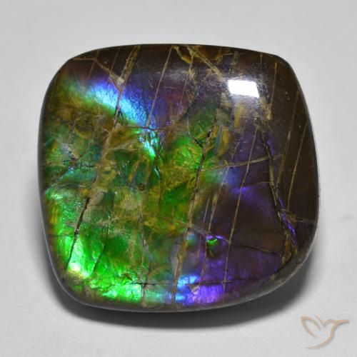 19.25ct 자연스러운 다색 암몰라이트, 팬시한, 불투명체