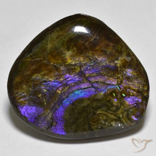 20.55ct 자연스러운 다색 암몰라이트, 팬시한, 불투명체