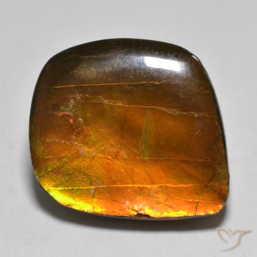 16.24ct 자연스러운 다색 암몰라이트, 팬시한, 불투명체