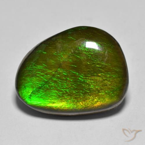 11.23ct 자연스러운 다색 암몰라이트, 팬시한, 불투명체