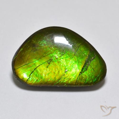 10.81ct 자연스러운 다색 암몰라이트, 팬시한, 불투명체