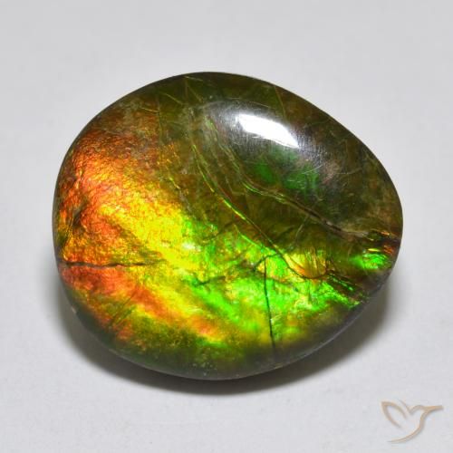 13.34ct 자연스러운 다색 암몰라이트, 팬시한, 불투명체