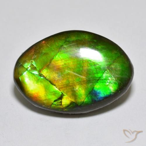10.50ct 자연스러운 다색 암몰라이트, 팬시한, 불투명체