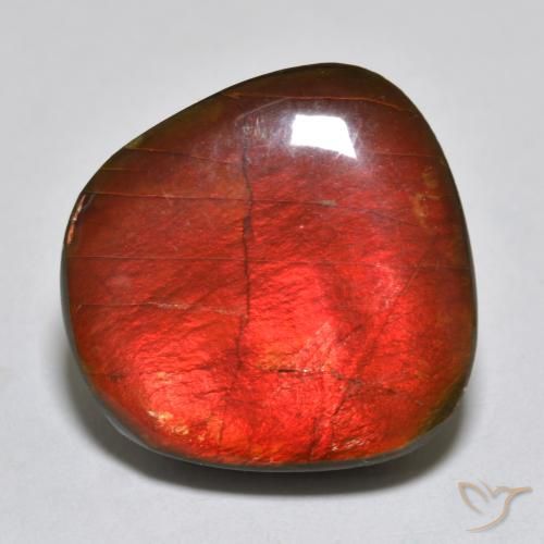 15.39ct 자연스러운 다색 암몰라이트, 팬시한, 불투명체
