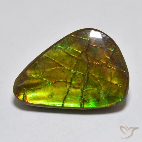 11.13ct 자연스러운 다색 암몰라이트, 팬시한, 불투명체