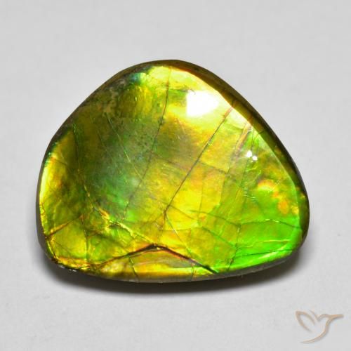 11.11ct 자연스러운 다색 암몰라이트, 팬시한, 불투명체