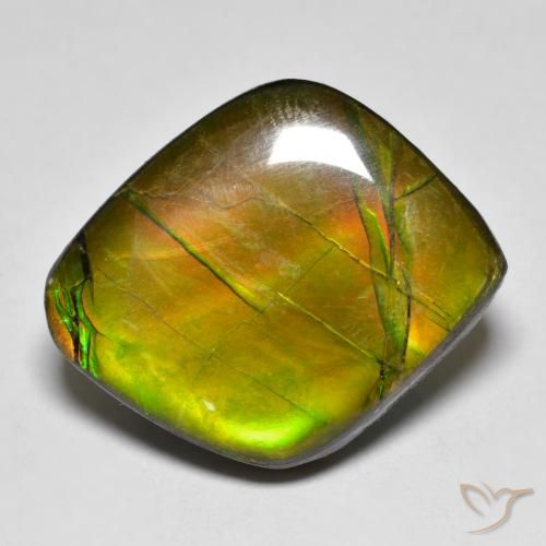 19.04ct 자연스러운 다색 암몰라이트, 팬시한, 불투명체