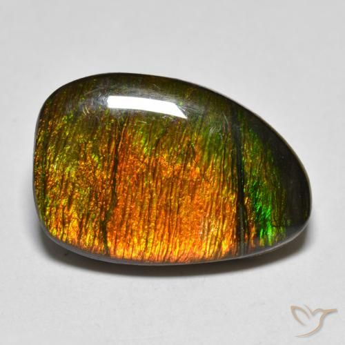 10.20ct 자연스러운 다색 암몰라이트, 팬시한, 불투명체