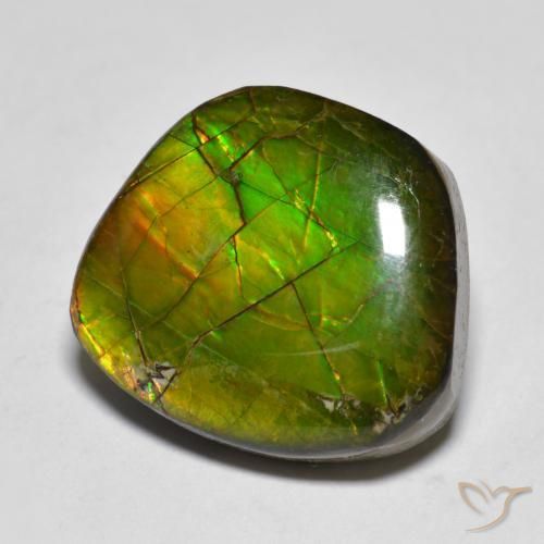 11.20ct 자연스러운 다색 암몰라이트, 팬시한, 불투명체