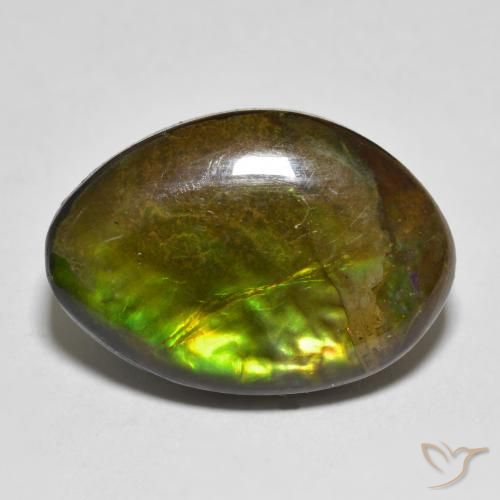 11.56ct 자연스러운 다색 암몰라이트, 팬시한, 불투명체