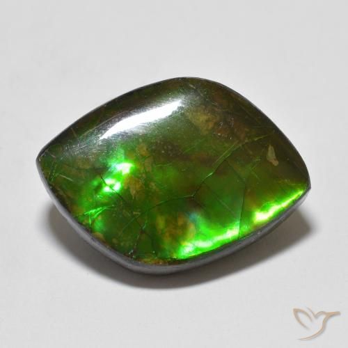 10.24ct 자연스러운 다색 암몰라이트, 팬시한, 불투명체