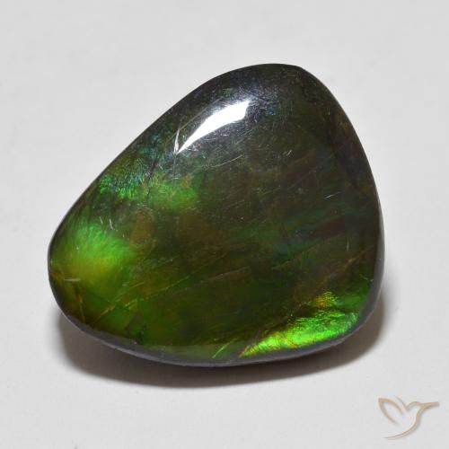 12.93ct 자연스러운 다색 암몰라이트, 팬시한, 불투명체