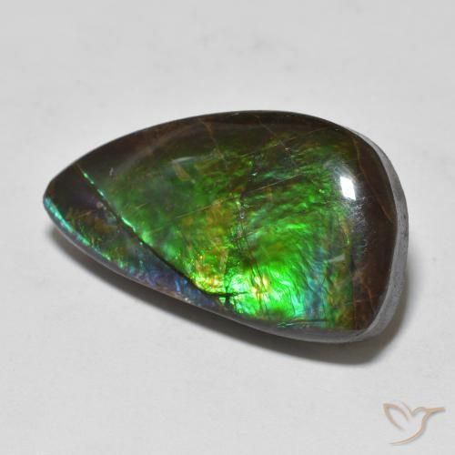 11.99ct 자연스러운 다색 암몰라이트, 팬시한, 불투명체