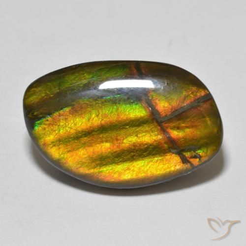 11.86ct 자연스러운 다색 암몰라이트, 팬시한, 불투명체