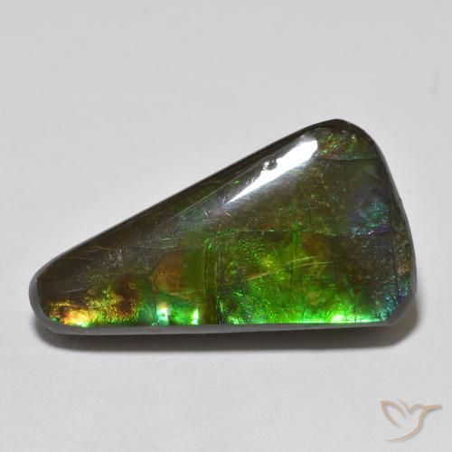 13.74ct 자연스러운 다색 암몰라이트, 팬시한, 불투명체