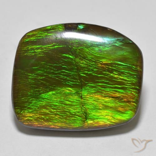 18.23ct 자연스러운 다색 암몰라이트, 팬시한, 불투명체