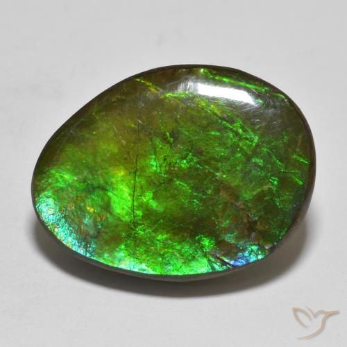 16.14ct 자연스러운 다색 암몰라이트, 팬시한, 불투명체