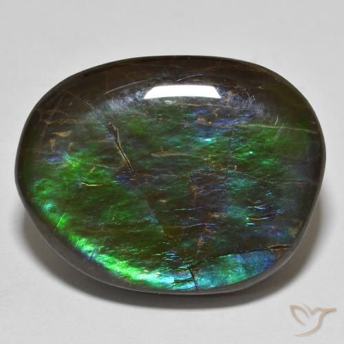 19.98ct 자연스러운 다색 암몰라이트, 팬시한, 불투명체