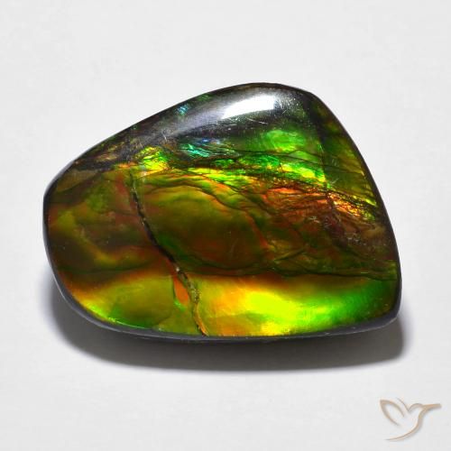 16.94ct 자연스러운 다색 암몰라이트, 팬시한, 불투명체