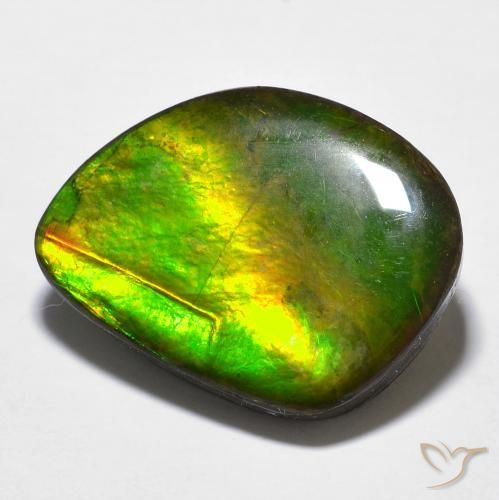 11.97ct 자연스러운 다색 암몰라이트, 팬시한, 불투명체