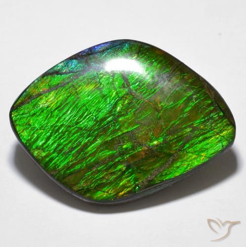 14.32ct 자연스러운 다색 암몰라이트, 팬시한, 불투명체