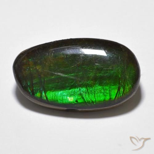 11.20ct 자연스러운 다색 암몰라이트, 팬시한, 불투명체
