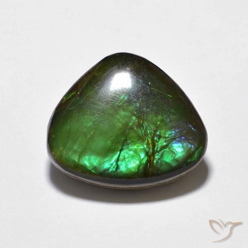 10.69ct 자연스러운 다색 암몰라이트, 팬시한, 불투명체