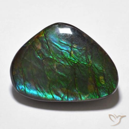 14.68ct 자연스러운 다색 암몰라이트, 팬시한, 불투명체