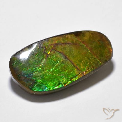 14.29ct 자연스러운 다색 암몰라이트, 팬시한, 불투명체