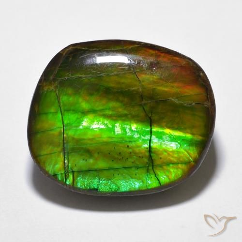 15.59ct 자연스러운 다색 암몰라이트, 팬시한, 불투명체
