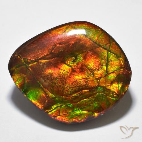 23.51ct 자연스러운 다색 암몰라이트, 팬시한, 불투명체