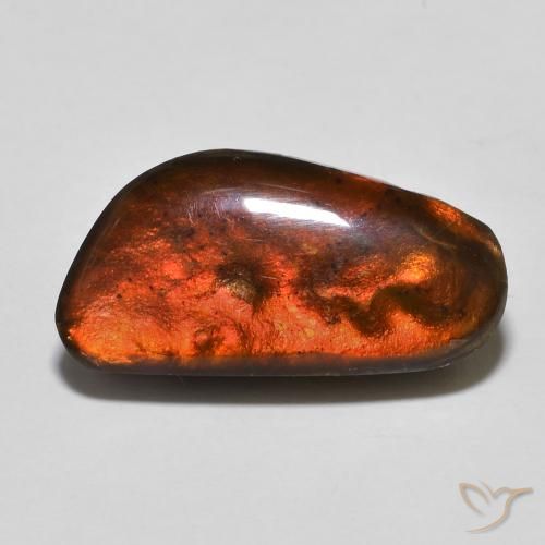 10.53ct 자연스러운 다색 암몰라이트, 팬시한, 불투명체