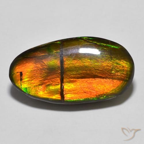 11.32ct 자연스러운 다색 암몰라이트, 팬시한, 불투명체