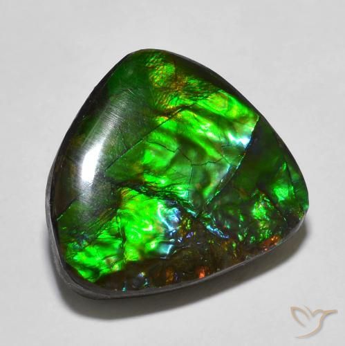 13.78ct 자연스러운 다색 암몰라이트, 팬시한, 불투명체