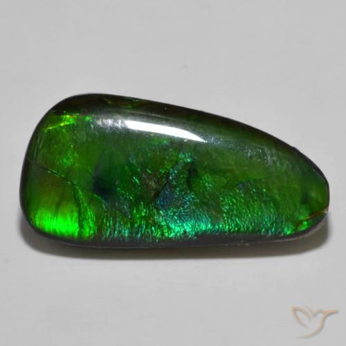 11.49ct 자연스러운 다색 암몰라이트, 팬시한, 불투명체