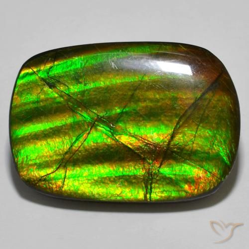 19.01ct 자연스러운 다색 암몰라이트, 팬시한, 불투명체