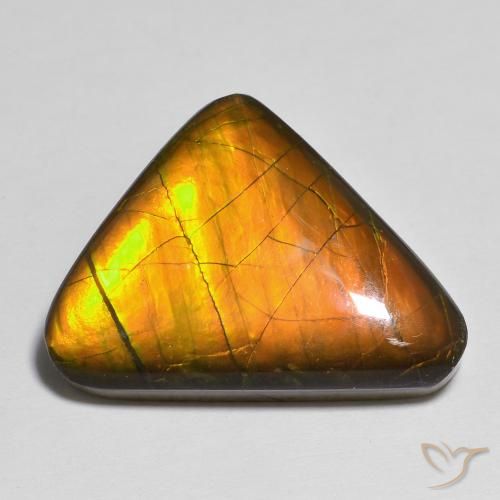 13.83ct 자연스러운 다색 암몰라이트, 팬시한, 불투명체