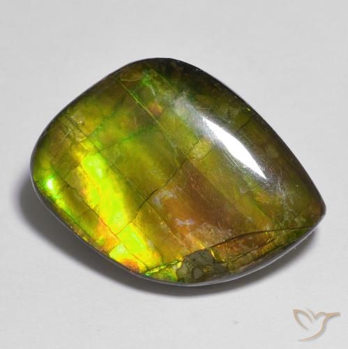 15.05ct 자연스러운 다색 암몰라이트, 팬시한, 불투명체