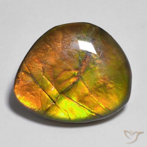 10.33ct 자연스러운 다색 암몰라이트, 팬시한, 불투명체