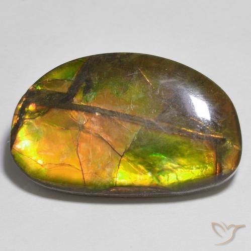 17.79ct 자연스러운 다색 암몰라이트, 팬시한, 불투명체