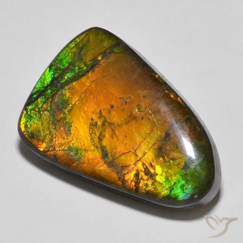 16.68ct 자연스러운 다색 암몰라이트, 팬시한, 불투명체