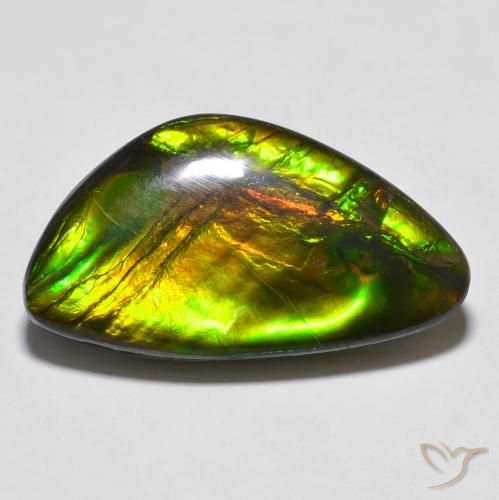14.81ct 자연스러운 다색 암몰라이트, 팬시한, 불투명체