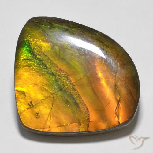 20.15ct 자연스러운 다색 암몰라이트, 팬시한, 불투명체