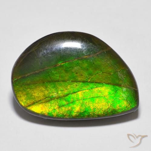 16.43ct 자연스러운 다색 암몰라이트, 팬시한, 불투명체
