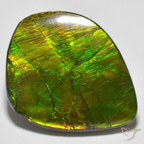 24.62ct 자연스러운 다색 암몰라이트, 팬시한, 불투명체