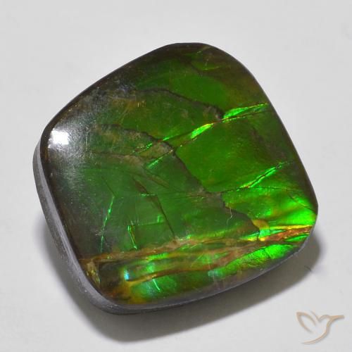 13.53ct 자연스러운 다색 암몰라이트, 팬시한, 불투명체