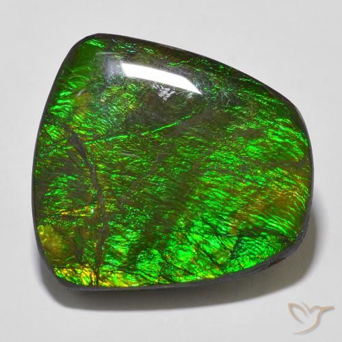 18.43ct 자연스러운 다색 암몰라이트, 팬시한, 불투명체