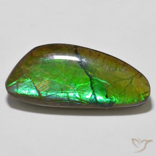 12.56ct 자연스러운 다색 암몰라이트, 팬시한, 불투명체