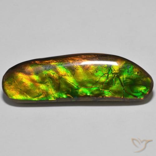 23.11ct 자연스러운 다색 암몰라이트, 팬시한, 불투명체