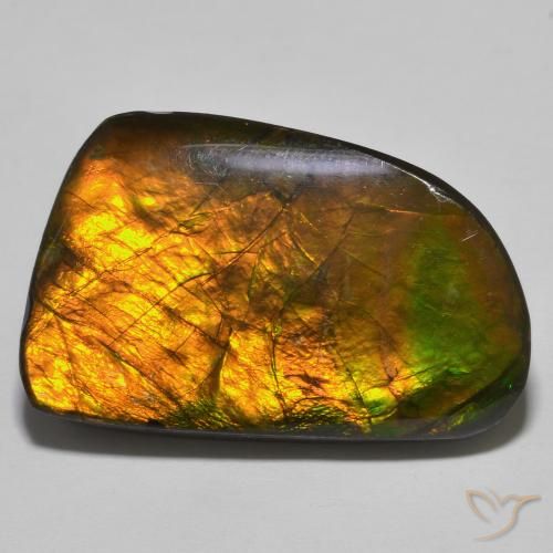 23.93ct 자연스러운 다색 암몰라이트, 팬시한, 불투명체